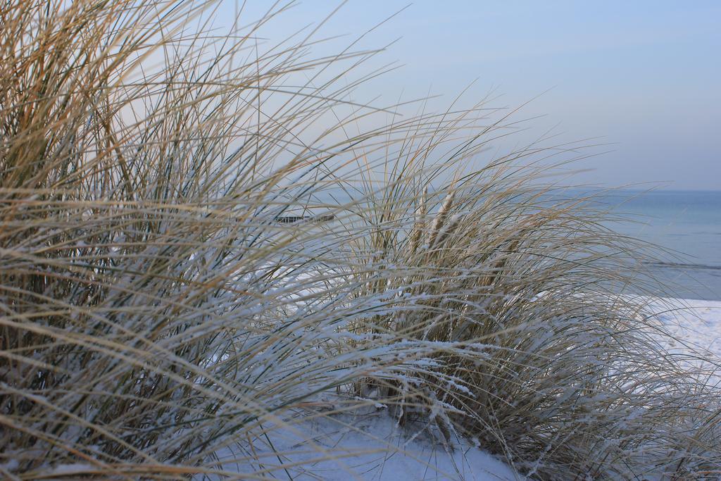 Appartmentanlage Zur Duene Insel Poel Pokoj fotografie